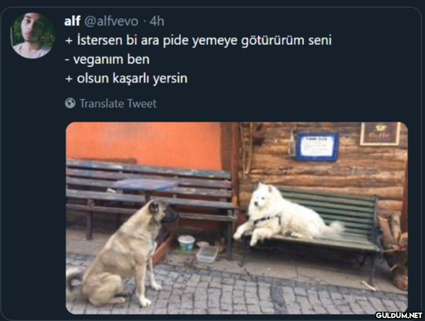 alf @alfvevo · 4h +...