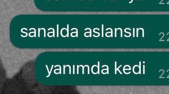 sanalda aslansın 22...