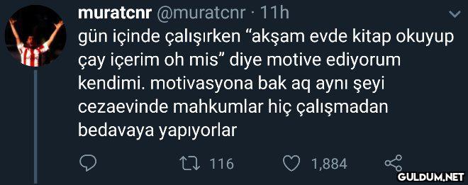 muratcnr @muratcnr · 11h...