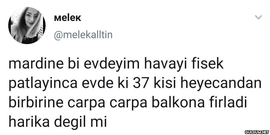 Çata patı seviyoruz   ...