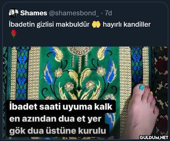 Shames @shamesbond_ · 7d...