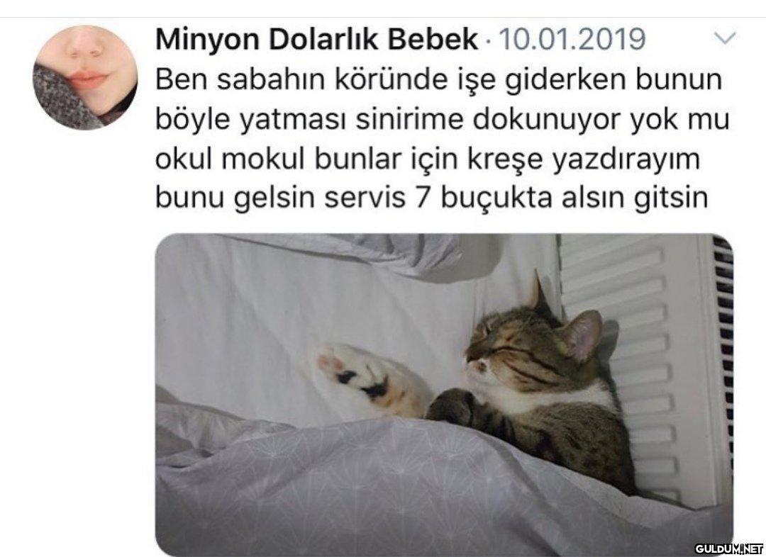 Minyon Dolarlık Bebek ·...