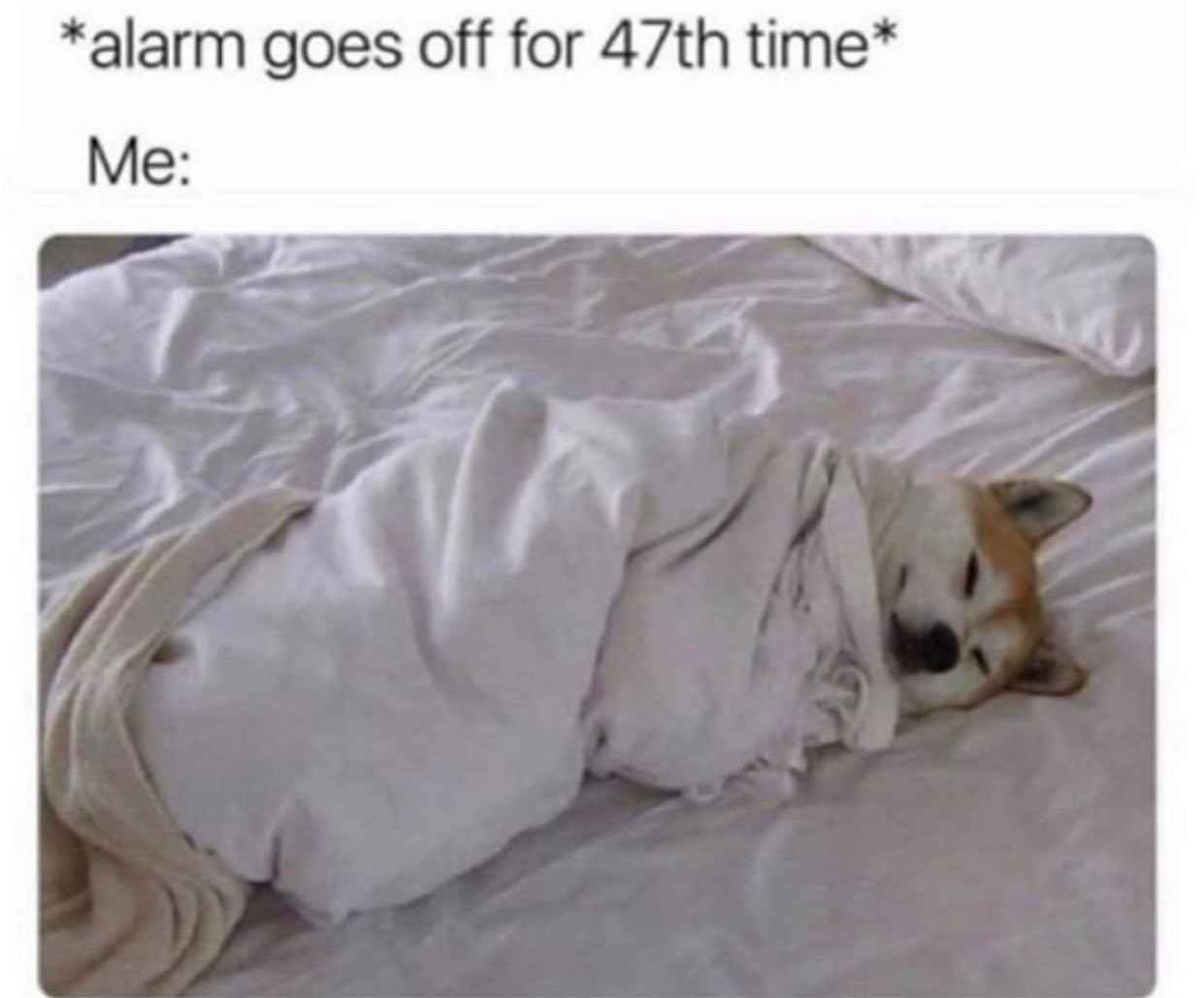 @iam.tired.ok 🥱  Kaynak