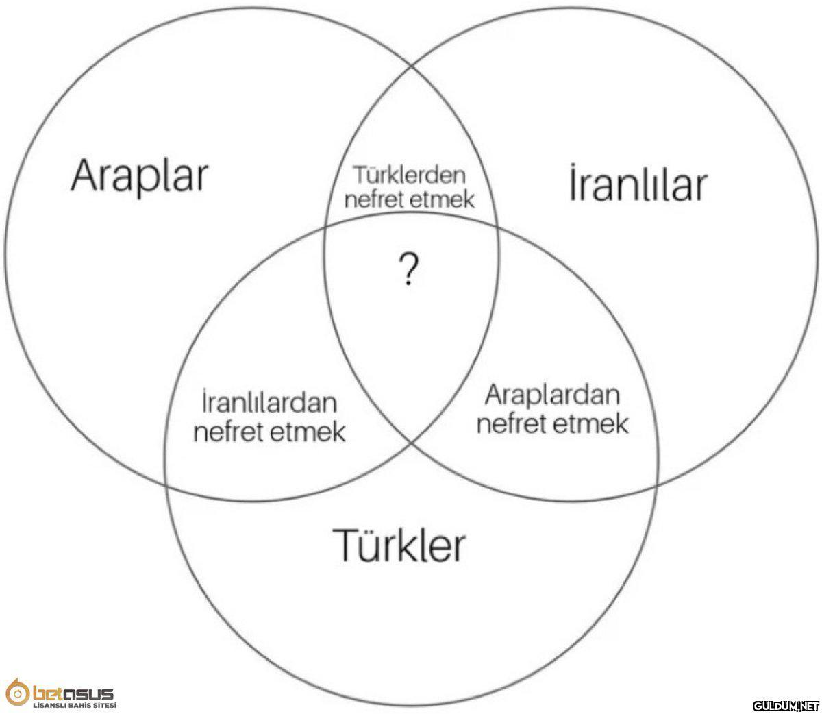 Araplar Türklerden nefret...