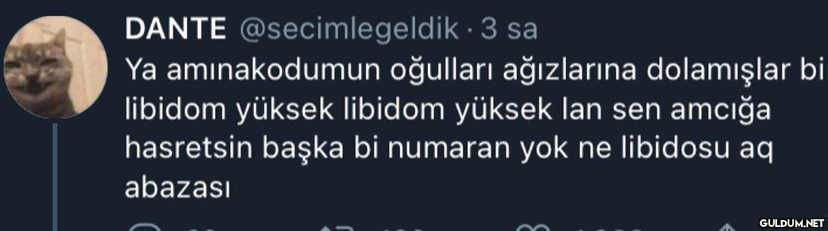 DANTE @secimlegeldik · 3...