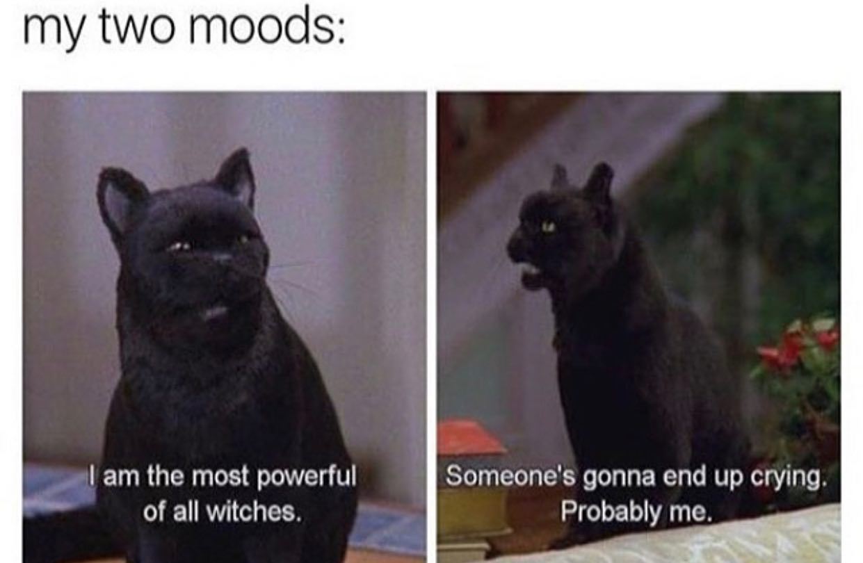 @dont.happy.lol 🐈‍⬛  Kaynak