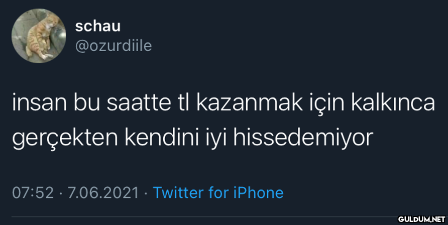 schau @ozurdiile insan bu...