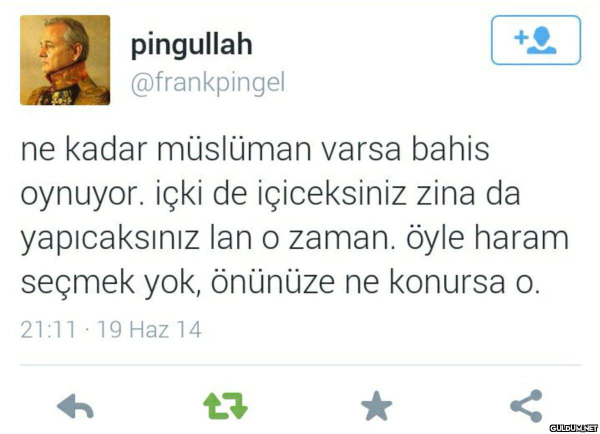 pingullah @frankpingel ne...