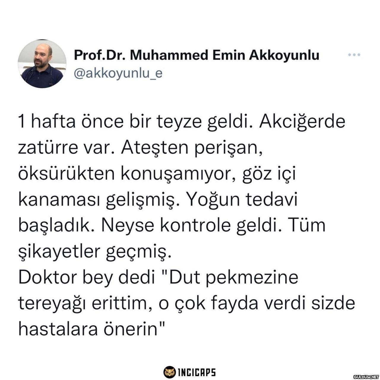Prof.Dr. Muhammed Emin...