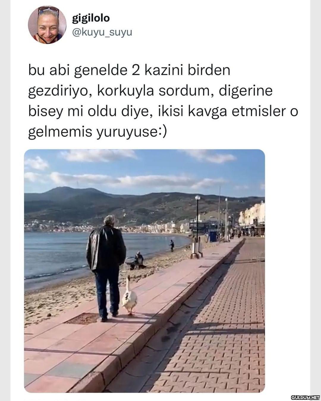 gigilolo @kuyu_suyu bu abi...