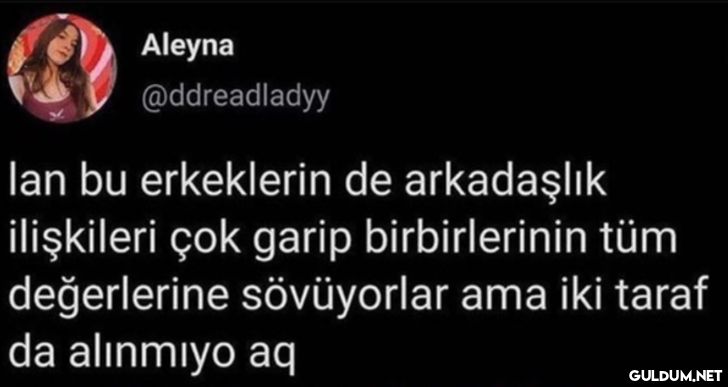 Aleyna @ddreadladyy lan bu...