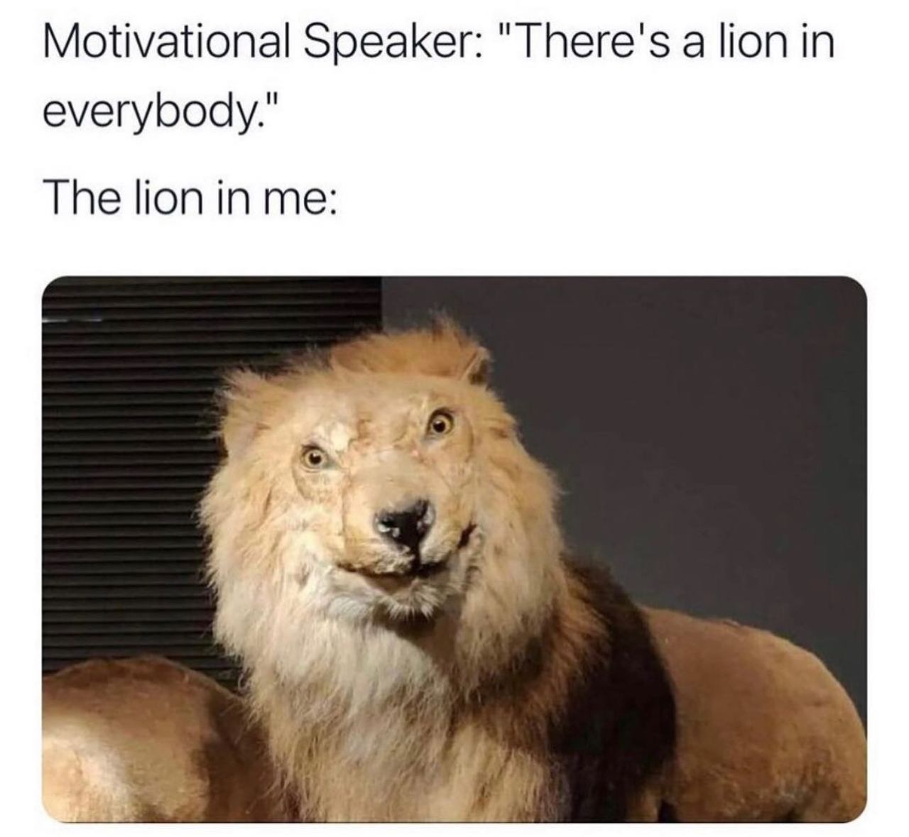 @keep.talking.im 🦁  Kaynak