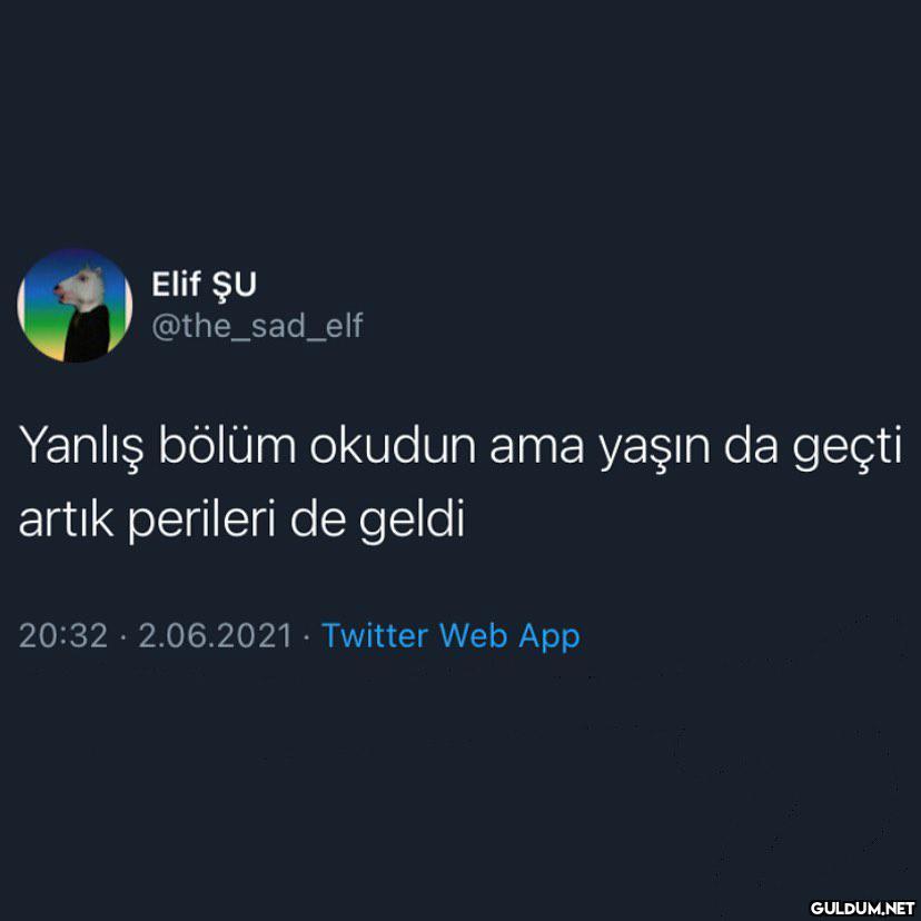 Elif ŞU @the_sad_elf...