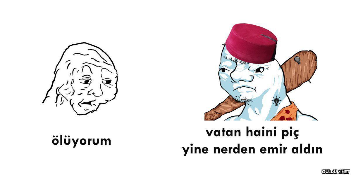vatan haini piç ölüyorum...
