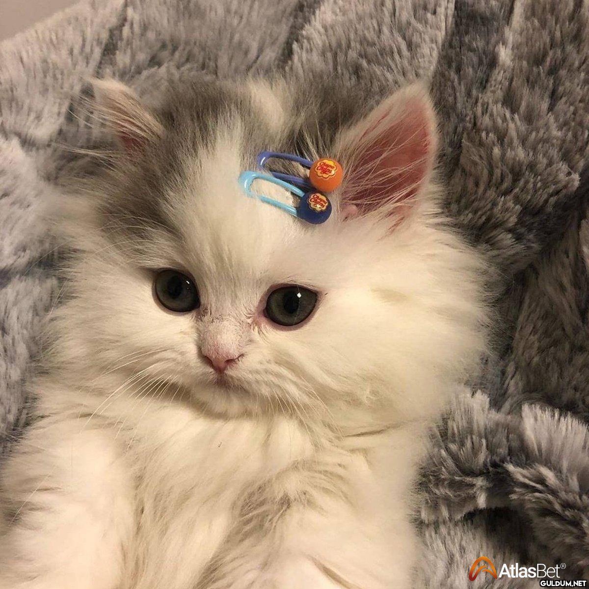 Olalım bakalım pamuk 🥰   ...