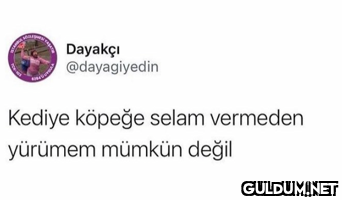 Dayakçı @dayagiyedin...