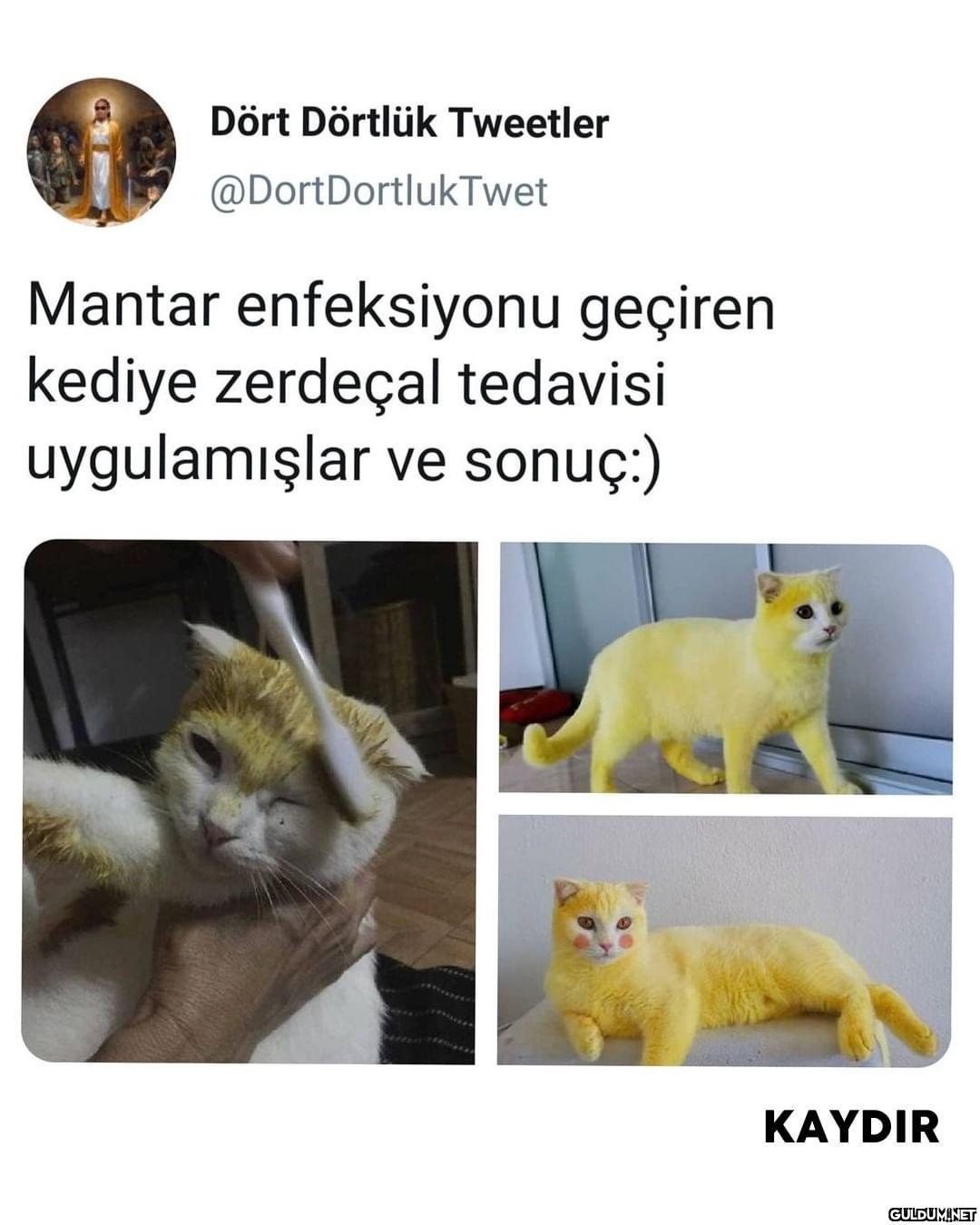 Dört Dörtlük Tweetler...