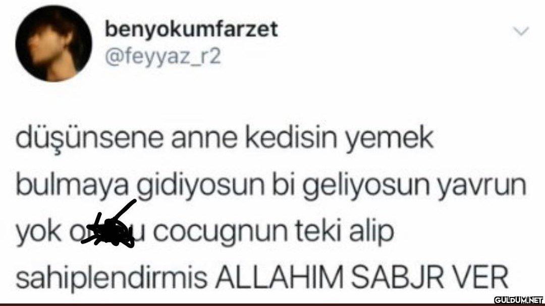 benyokumfarzet @feyyaz_r2...