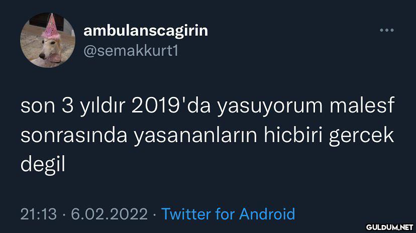 2019 harika bir yıldı… ...
