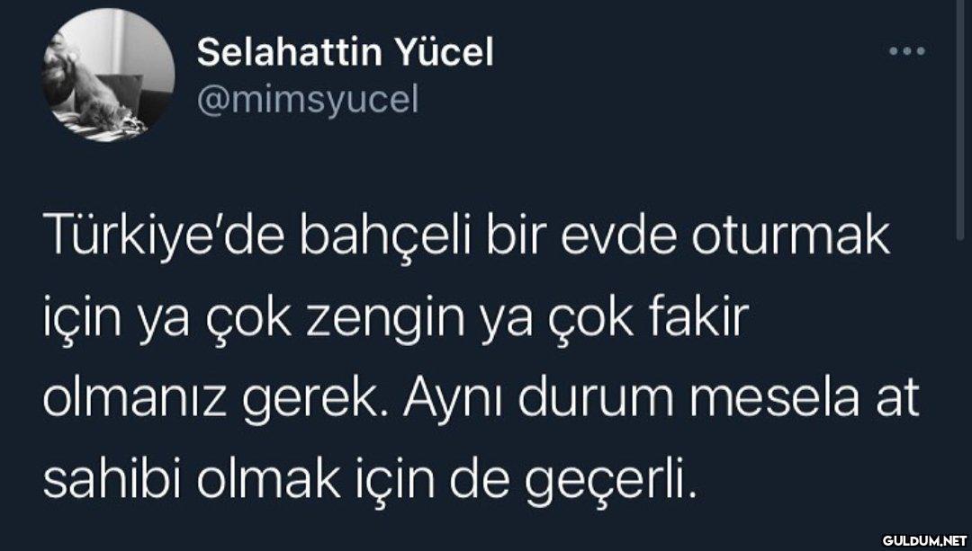 Sizce ?    Selahattin...