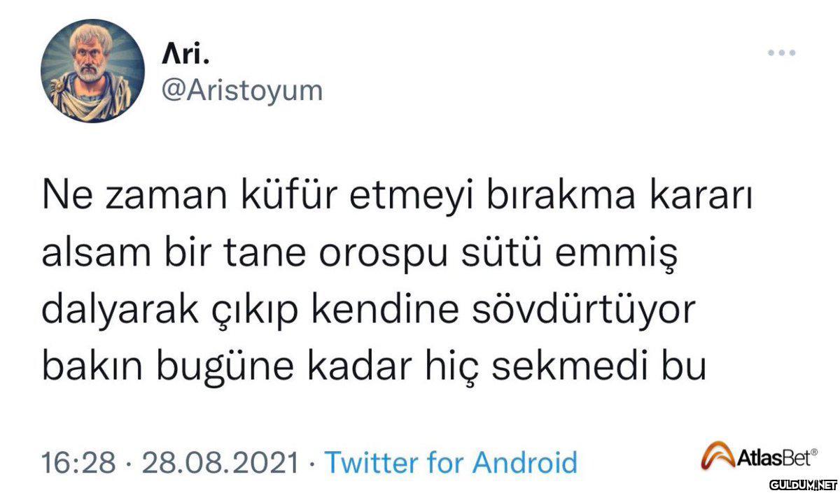 Ari. @Aristoyum Ne zaman...
