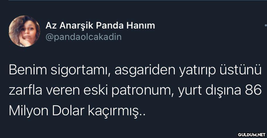 Az Anarşik Panda Hanım...
