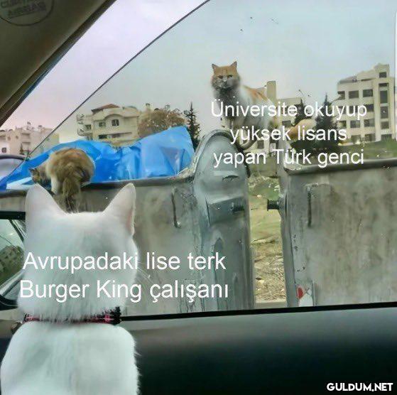 Ne eksik ne fazla aynen...