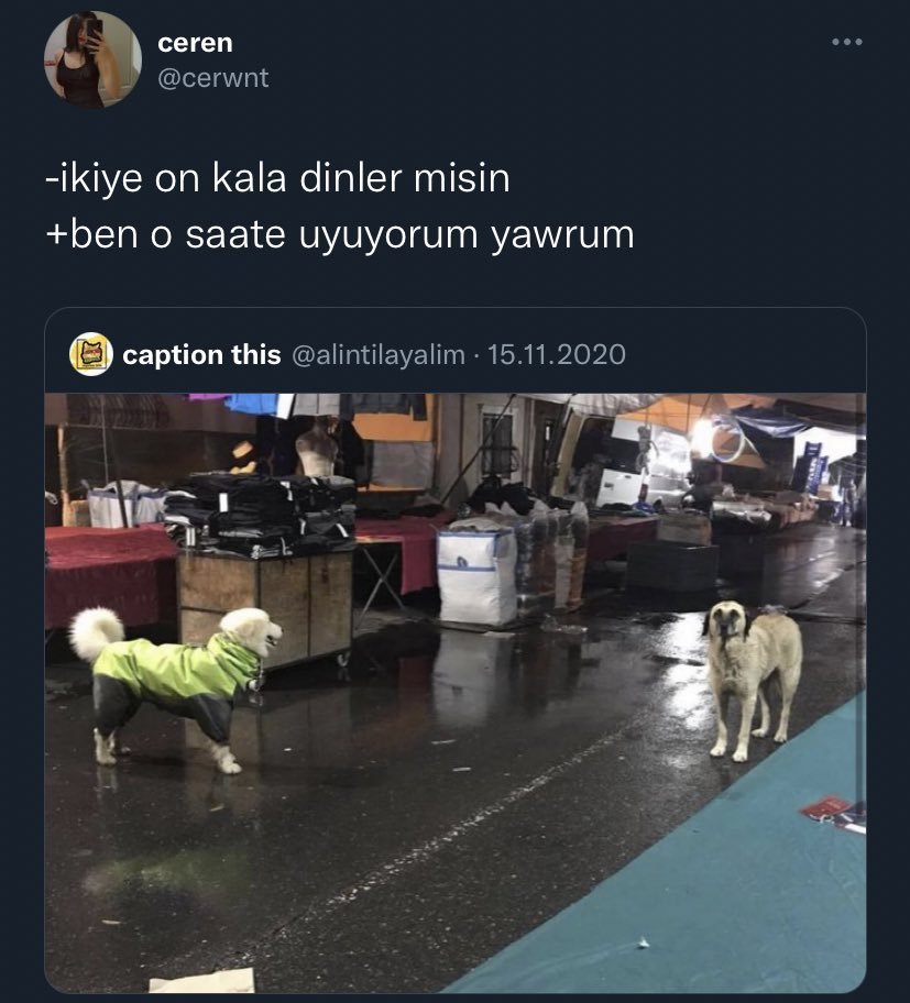 ceren @cerwnt -ikiye on...