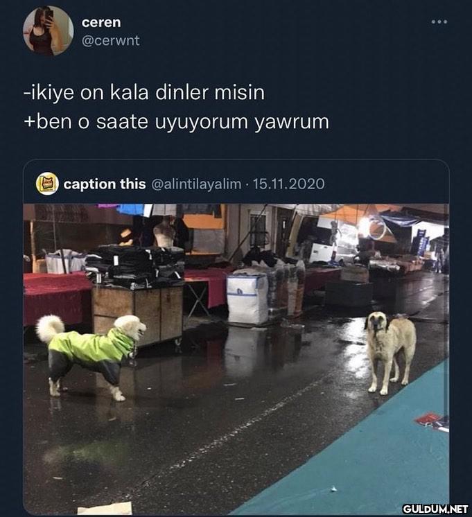 biri elli geçe  ceren...