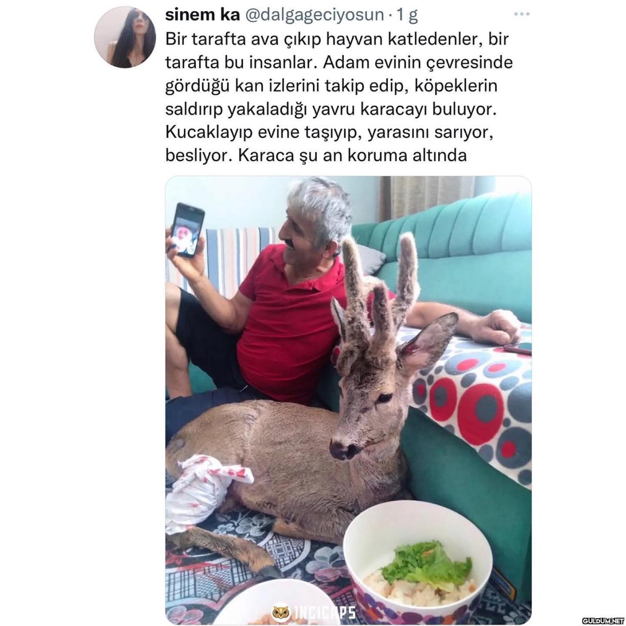sinem ka @dalgageciyosun...