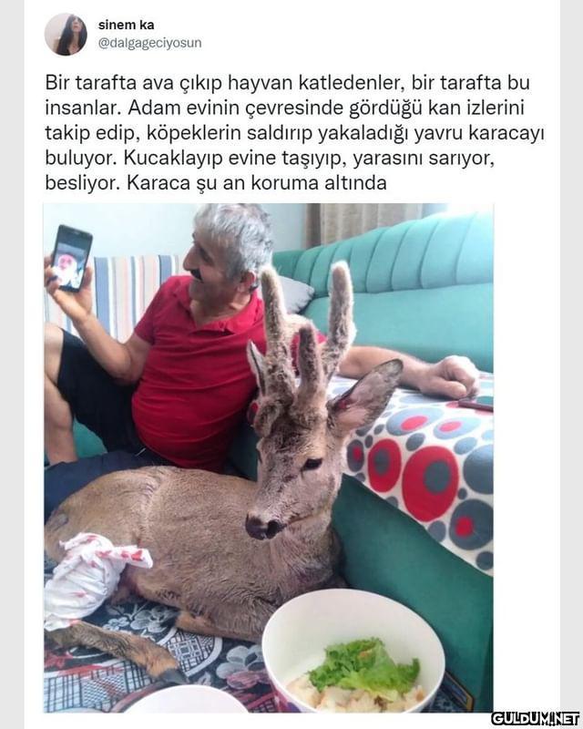 sinem ka @dalgageciyosun...