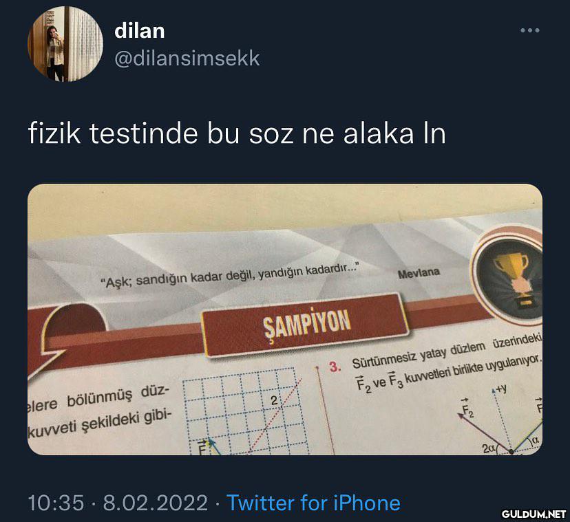 yazar bi dertlenmiş  dilan...