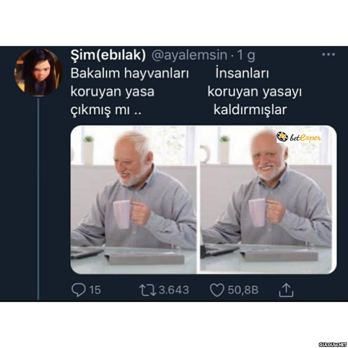Şim(ebılak) @ayalemsin · 1...