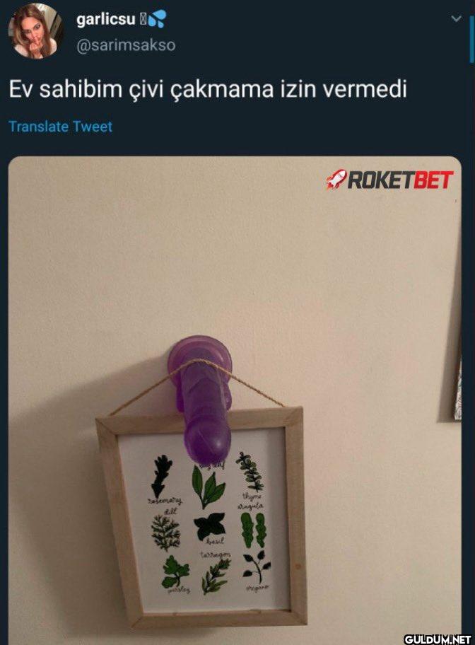 Ev sahibim çivi çakmama...