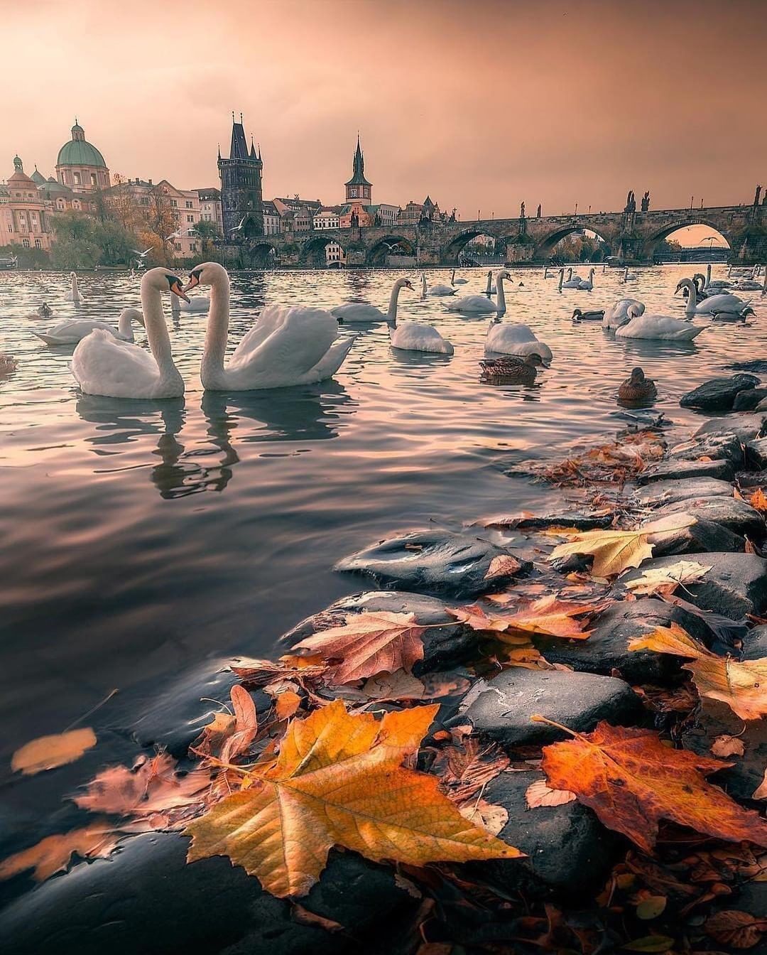 @ a travel buddy you'd...