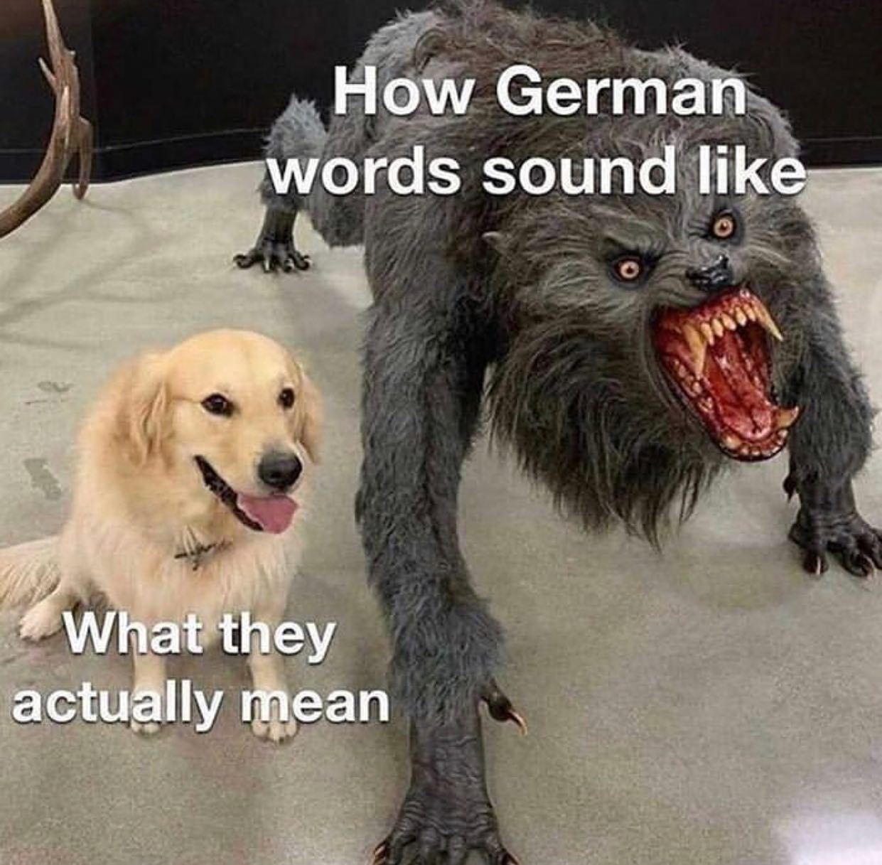 @not.not.reading 🐶  Kaynak