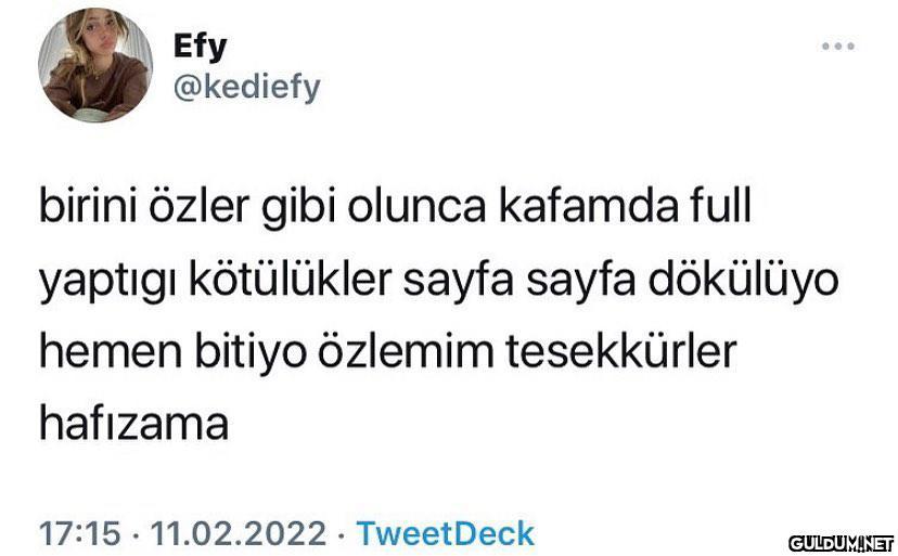 Efy @kediefy birini özler...