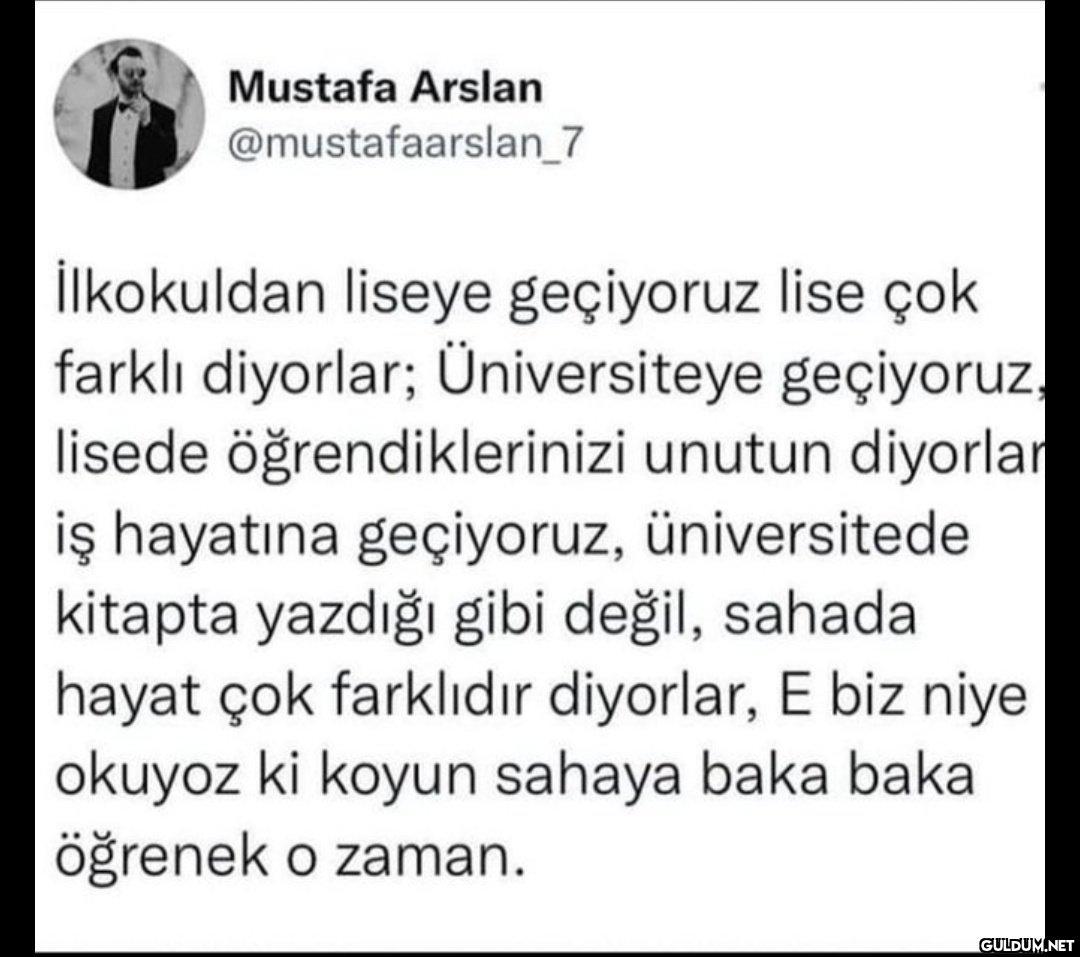 Mustafa Arslan...