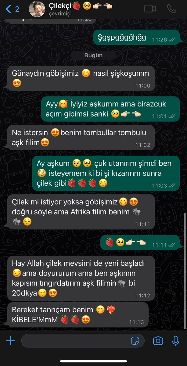 afrika fili mi    Gökçesu...