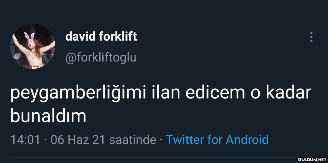 david forklift...