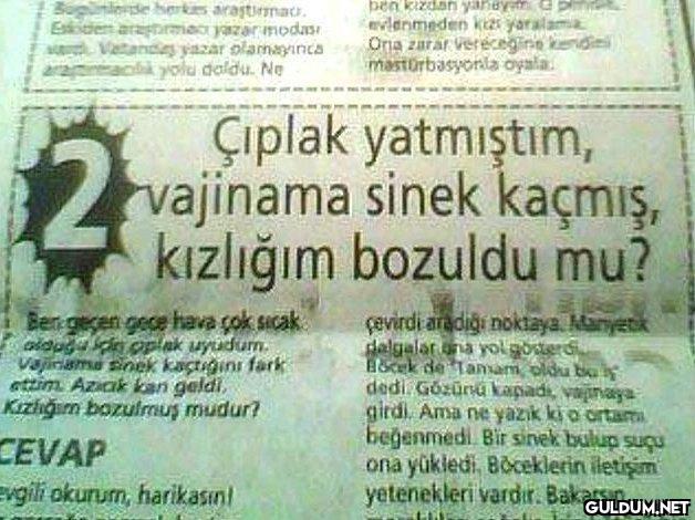 Haydar Dümen'in vefatı...
