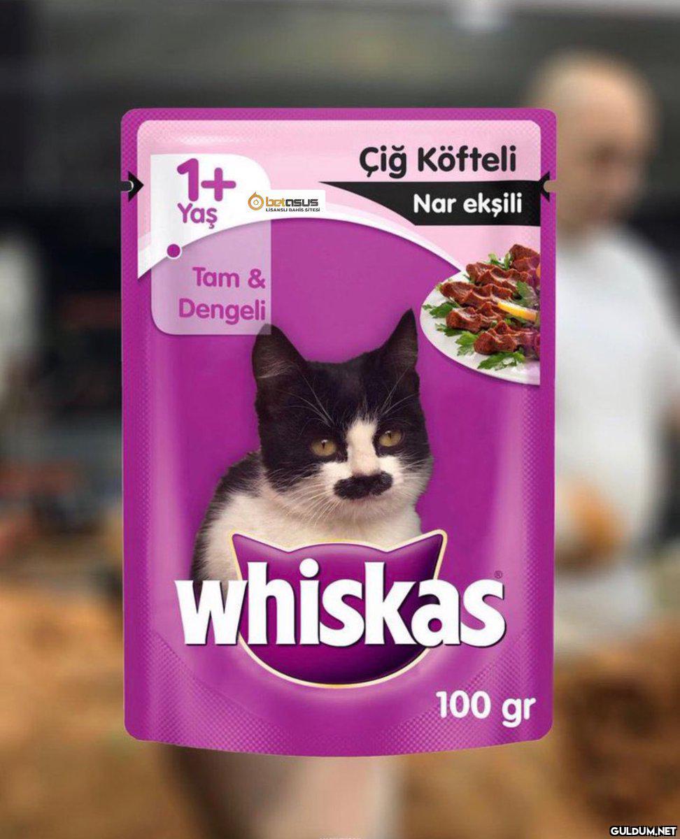 Ssgsahahahahahahajajaja   ...