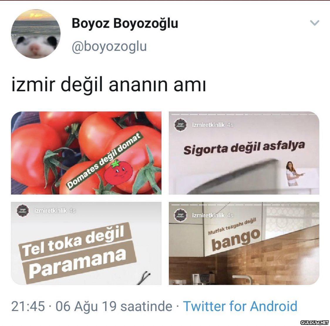 Boyoz Boyozoğlu @boyozoglu...