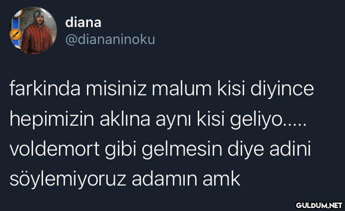 diana @diananinoku...
