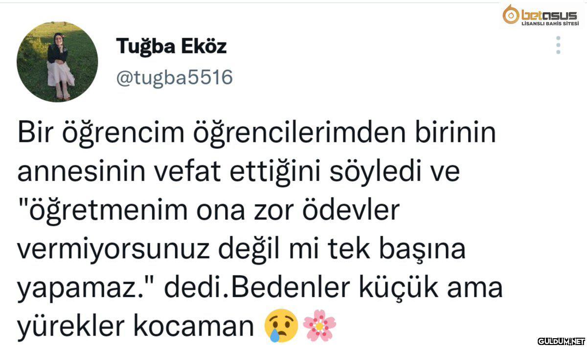 Obetosus LİSANSLI BAHİS...