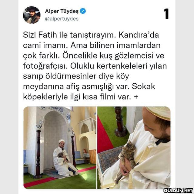 (Kaydırmalı)  Alper Tüydeş...