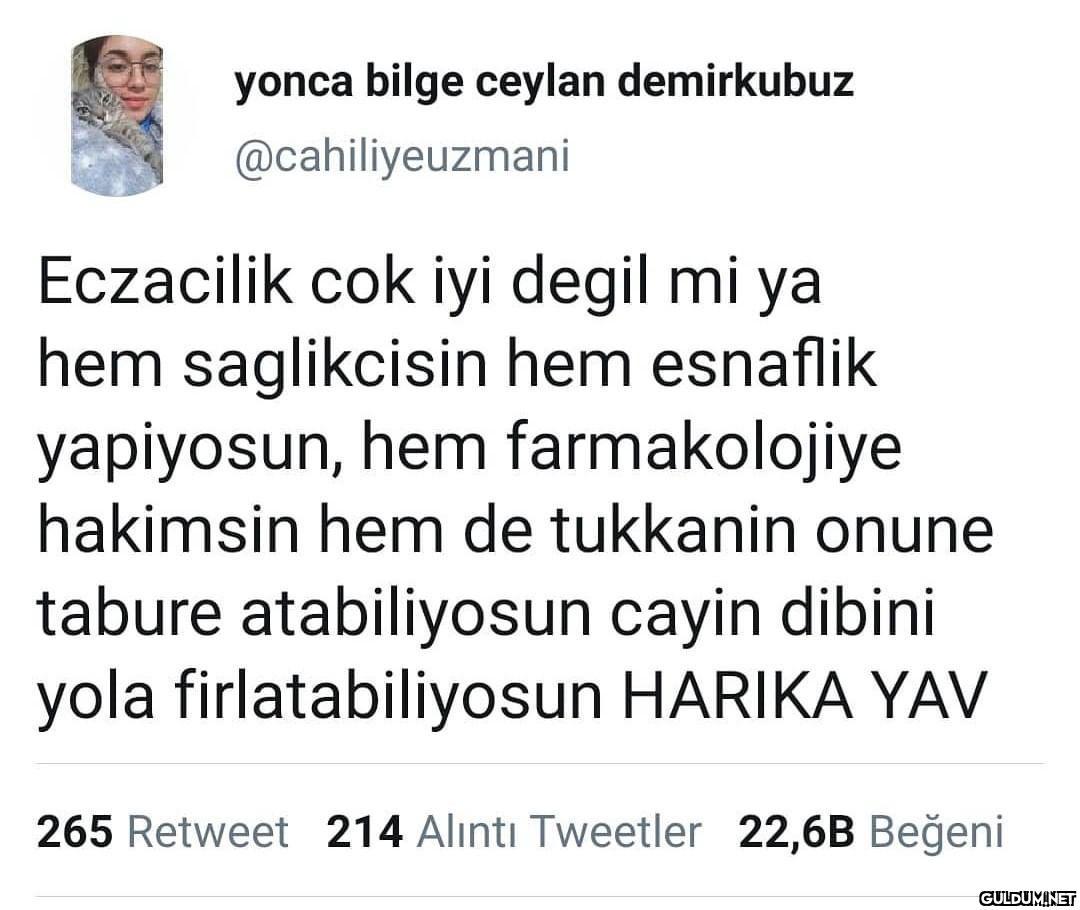 yonca bilge ceylan...