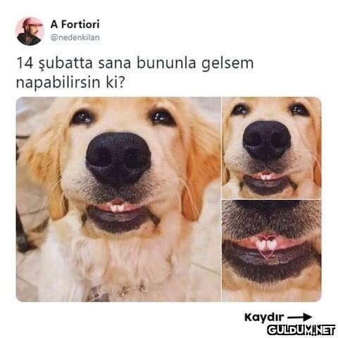 (Kaydırmalı)  A Fortiori...