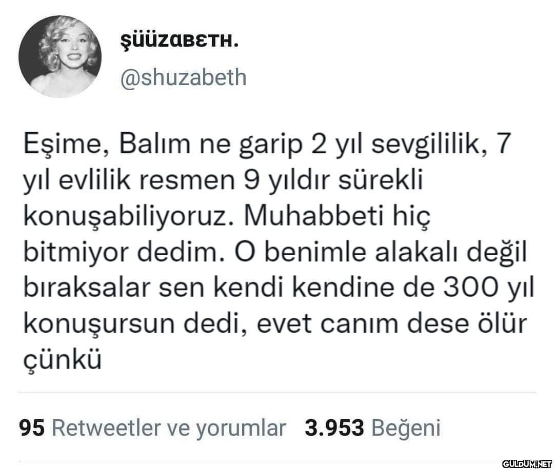 şüüzaBETH. @shuzabeth...
