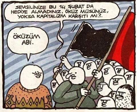 Kapitalizm karşıtı mısın ?...